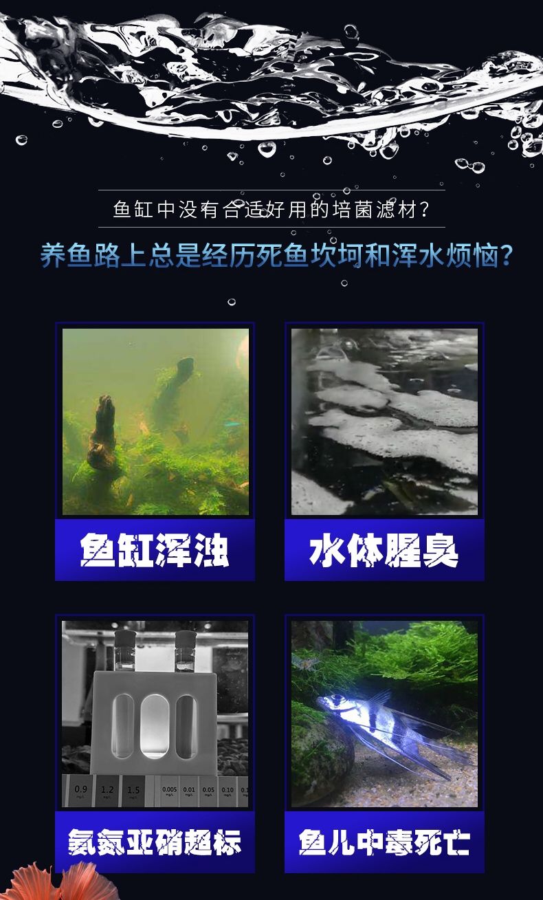 小缸拯救者 朱巴利魚苗 第4張