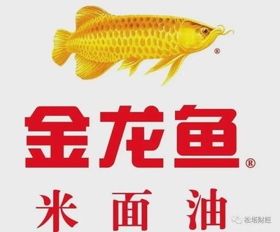 金龍魚 研報(bào)（華鑫證券維持對(duì)金龍魚的買入評(píng)級(jí)西部證券維持對(duì)金龍魚的增持評(píng)級(jí)） 龍魚百科 第1張