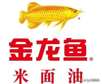 金龍魚 研報(bào)（華鑫證券維持對(duì)金龍魚的買入評(píng)級(jí)西部證券維持對(duì)金龍魚的增持評(píng)級(jí)） 龍魚百科 第5張