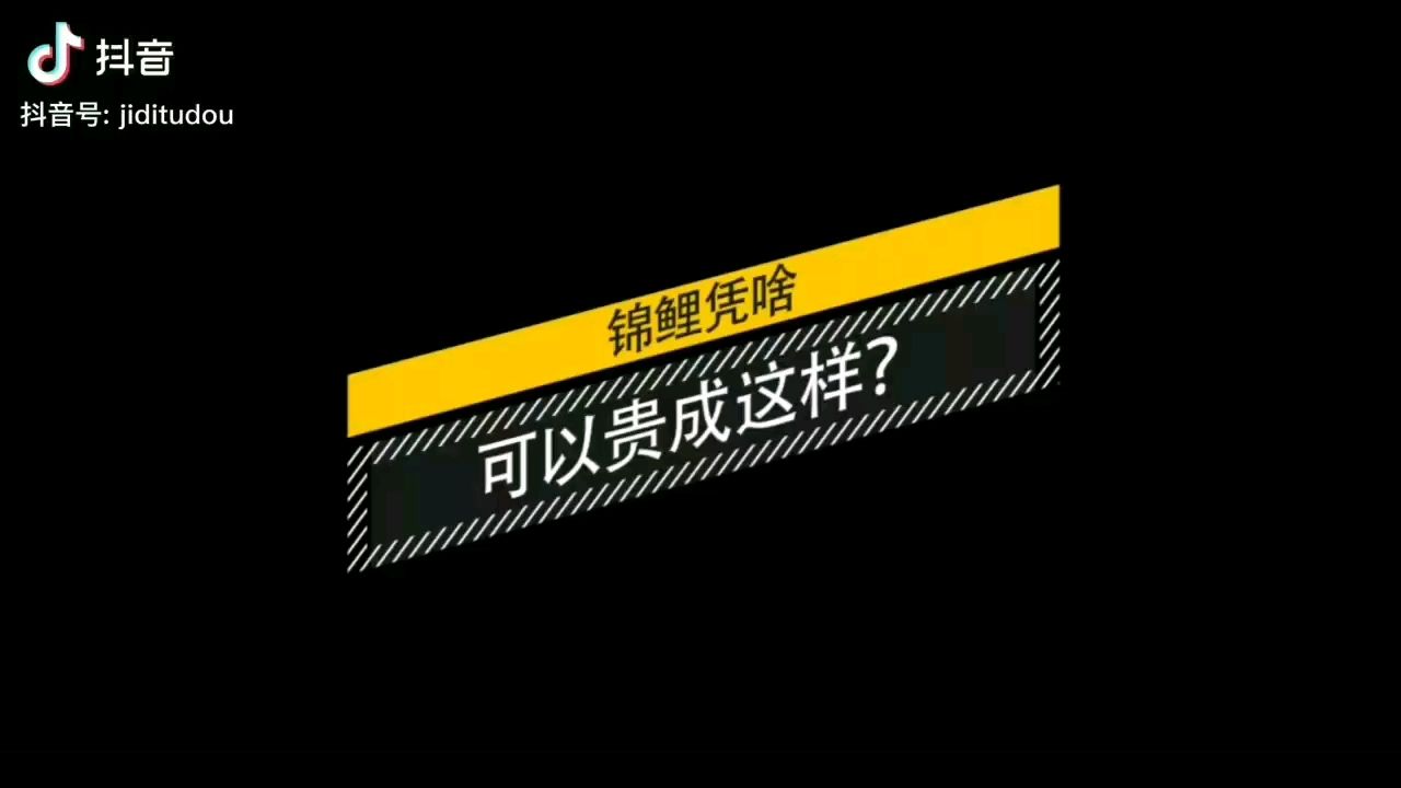 我得出去走一走了解這個(gè)大世界了