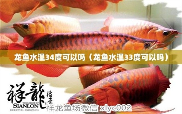 三都水族自治縣伯余面條加工廠（三都伯余面條加工廠）