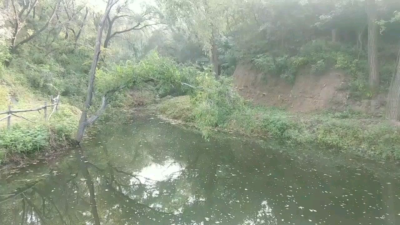 包頭水族館又來尋魚蝦