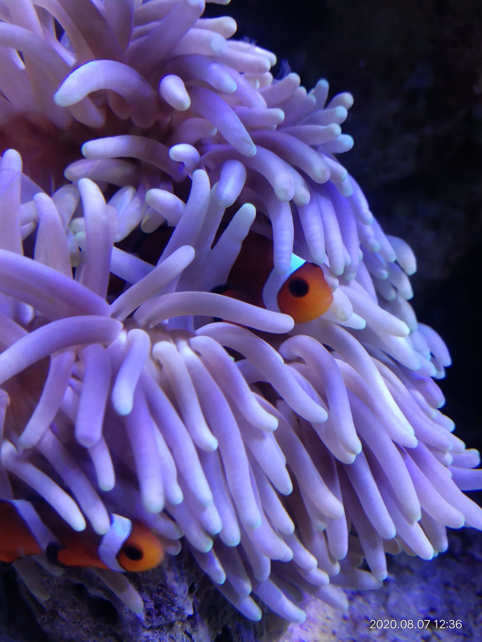 深圳水族館有啥好玩不需要多大空間的東西嗎