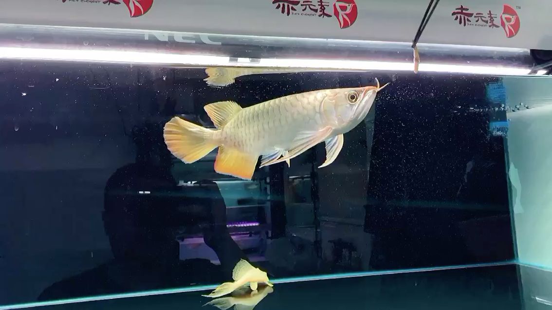 綏化水族館越級(jí)精品