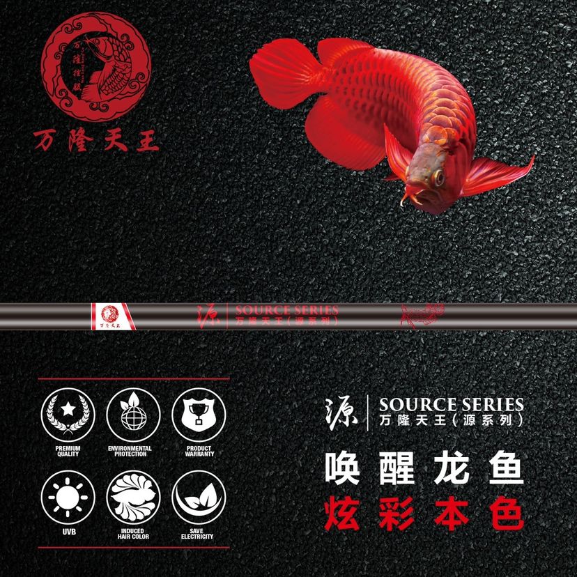 太陽燈 龍魚百科 第6張