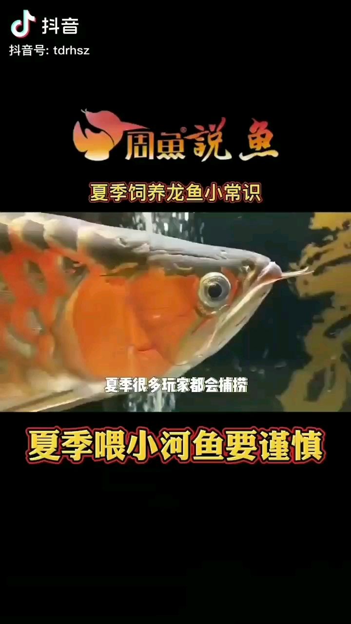 看長知識(shí)