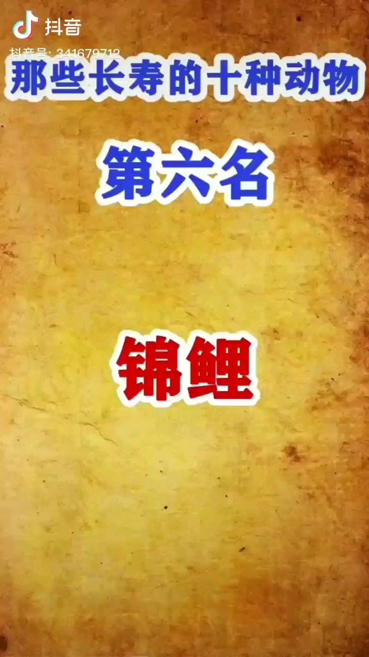 養(yǎng)一池吧陪自己到老