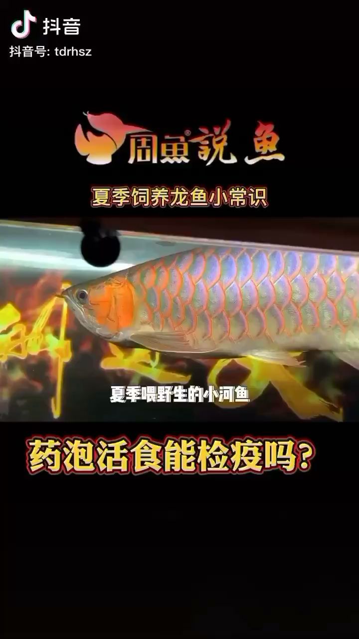 喂活食前的檢疫工作你們做對(duì)了嗎？