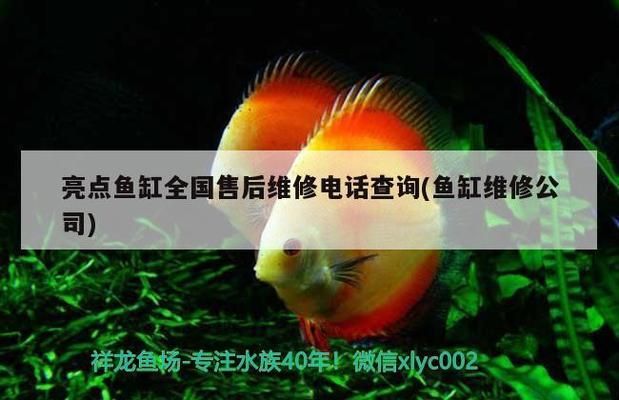 重慶楠薇園農(nóng)業(yè)開發(fā)有限公司（楠薇園農(nóng)業(yè)開發(fā)有限公司）