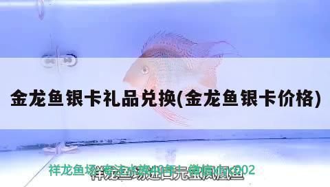 金龍魚(yú)奧運(yùn)限量版銀卡面值（金龍魚(yú)奧運(yùn)限量版銀卡的面值） 龍魚(yú)百科 第3張