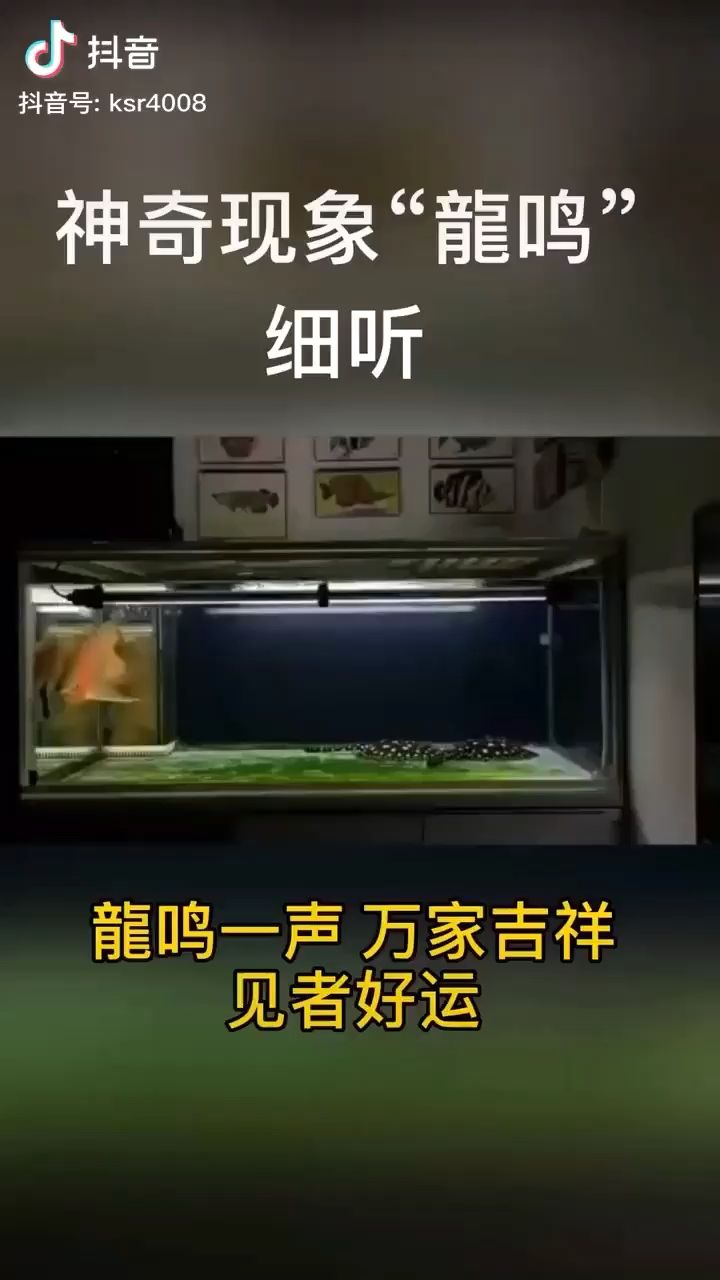 滁州水族館真的有龍鳴嗎？