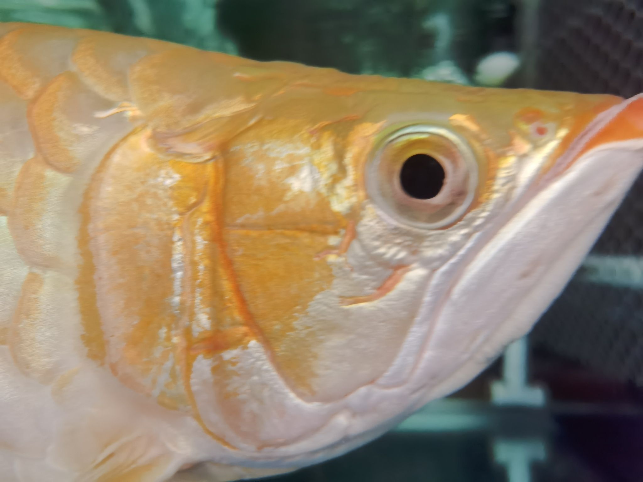 常德水族館換水中