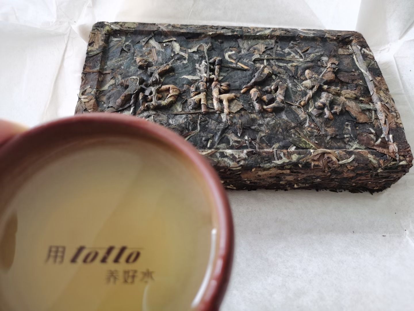 博爾塔拉蒙古自治州觀賞魚市場人生三大愛好