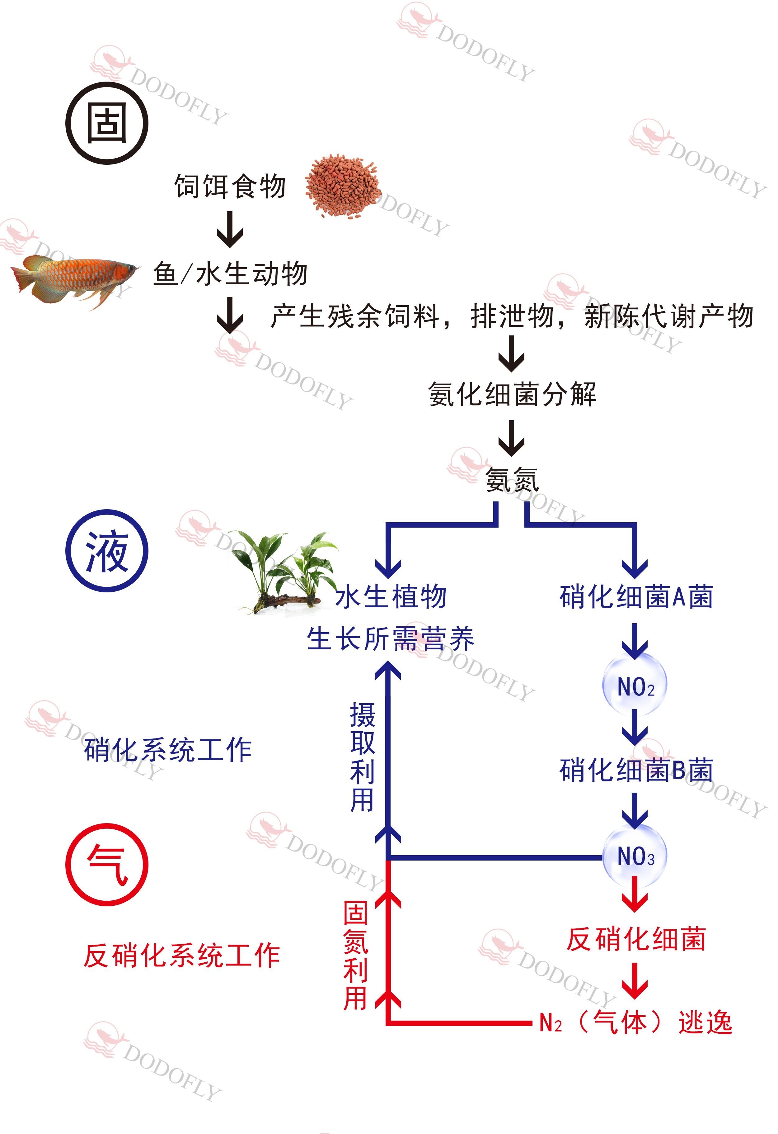 開缸不慌—D先生出品