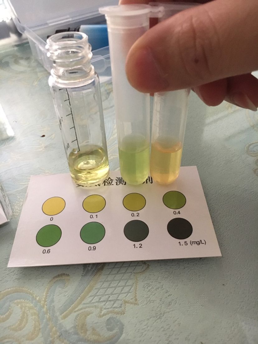 德陽觀賞魚市場記錄一下水質(zhì)進魚14天