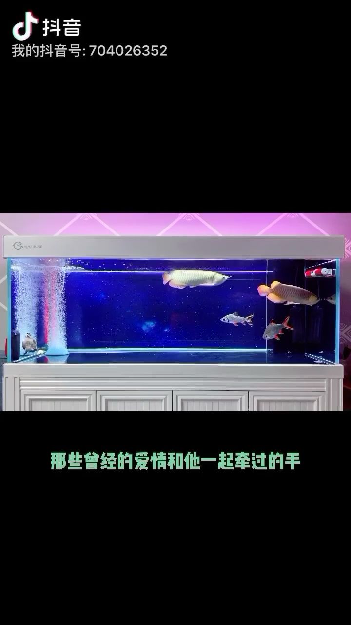 三門峽觀賞魚市場享受這一刻