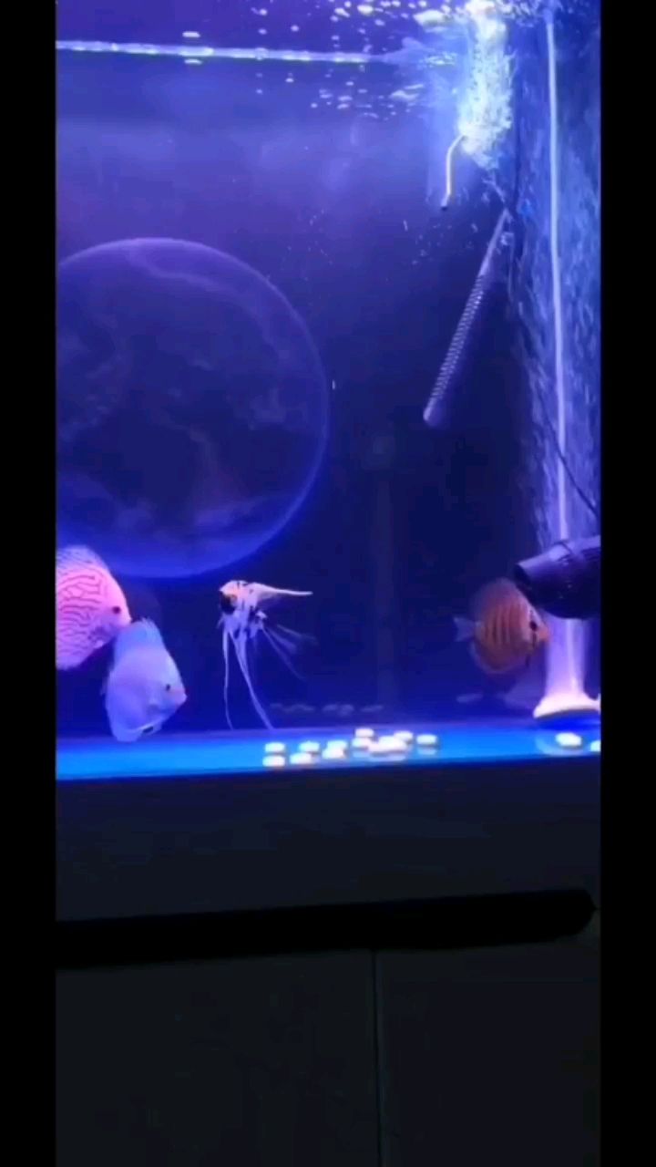 滄州水族館請大神們指點