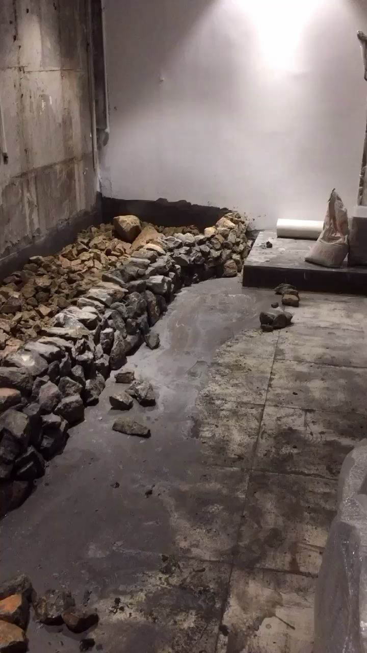 西雙版納傣族自治州觀賞魚市場大型雨林景觀持續(xù)