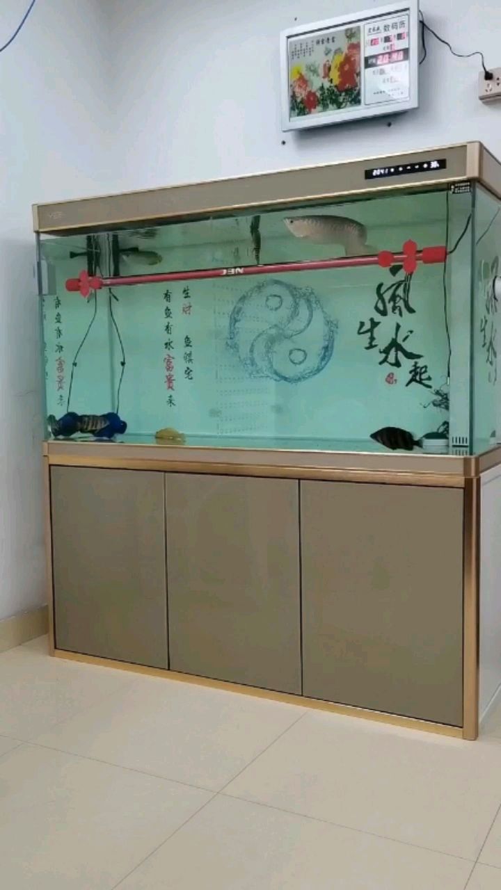 武漢水族館怎么才能讓小龍膽子大點(diǎn)？