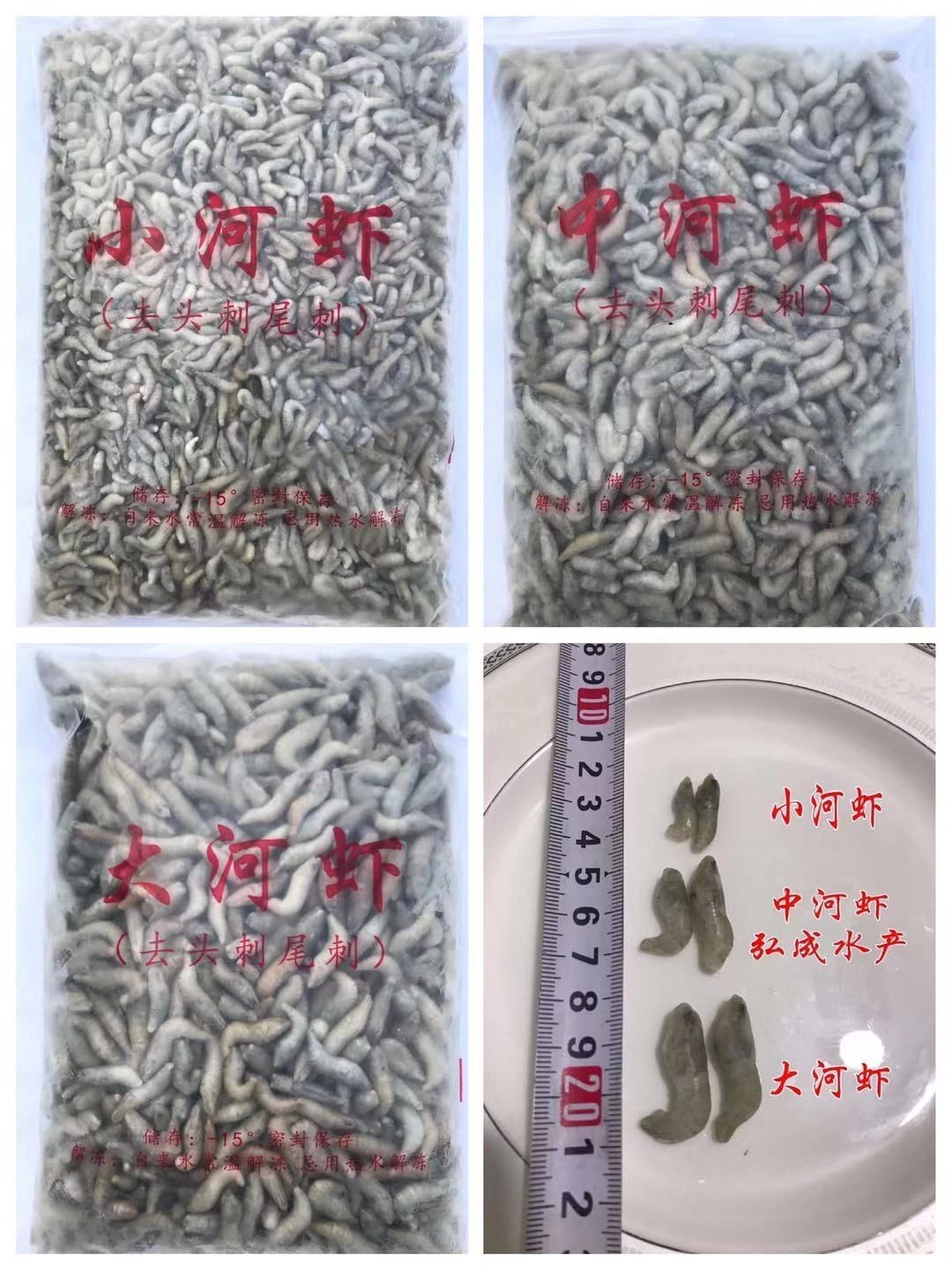 龍魚(yú)食物大全