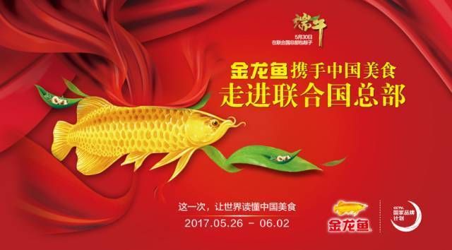 金龍魚代表什么意思（金龍魚在中國文化中具有豐富的象征意義） 龍魚百科 第5張