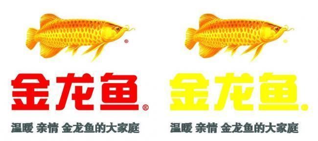 金龍魚標(biāo)簽設(shè)計(jì)圖（金龍魚品牌如何塑造形象？） 龍魚百科 第1張