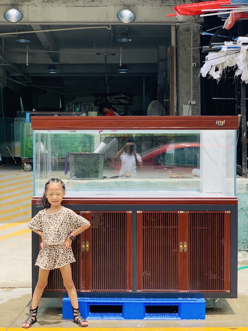 吉安水族館廣東省興寧市 狗仔（招財貓)魚苗 第7張