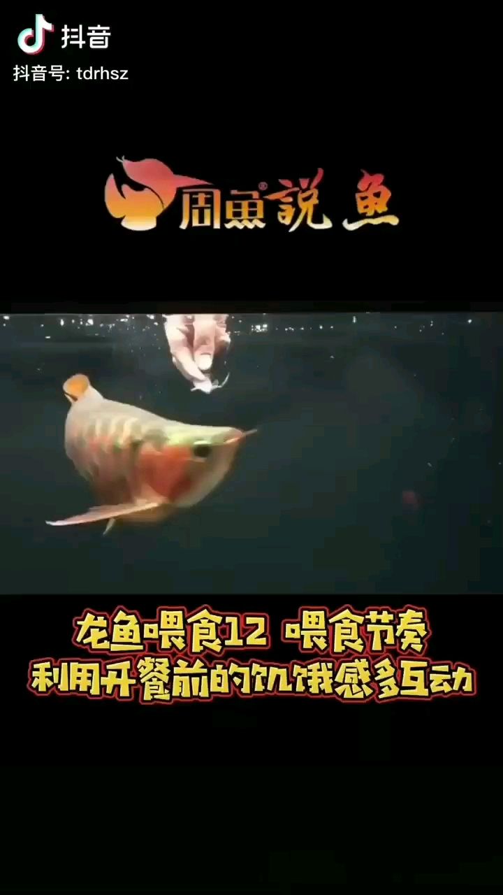 泉州水族館我的互動(dòng)只有三下忍不住就喂了