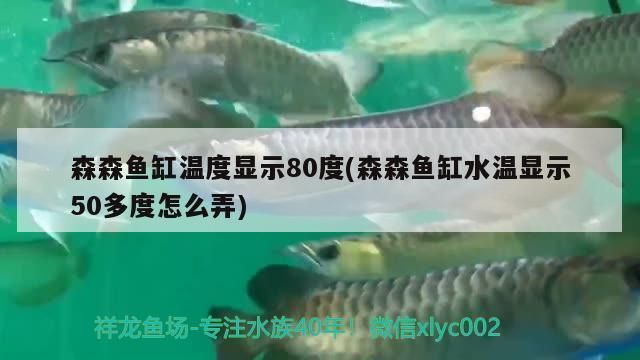 森森魚(yú)缸顯示屏溫度顯示80多度（如何校準(zhǔn)魚(yú)缸溫度顯示屏魚(yú)缸加熱棒故障常見(jiàn)原因） 龍魚(yú)百科 第4張