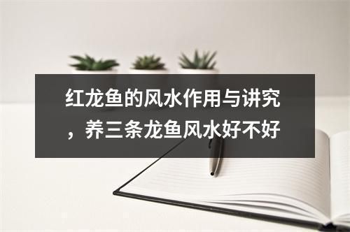 紅龍魚(yú)養(yǎng)幾條最好風(fēng)水學(xué)（紅龍魚(yú)養(yǎng)幾條最好） 龍魚(yú)百科 第1張