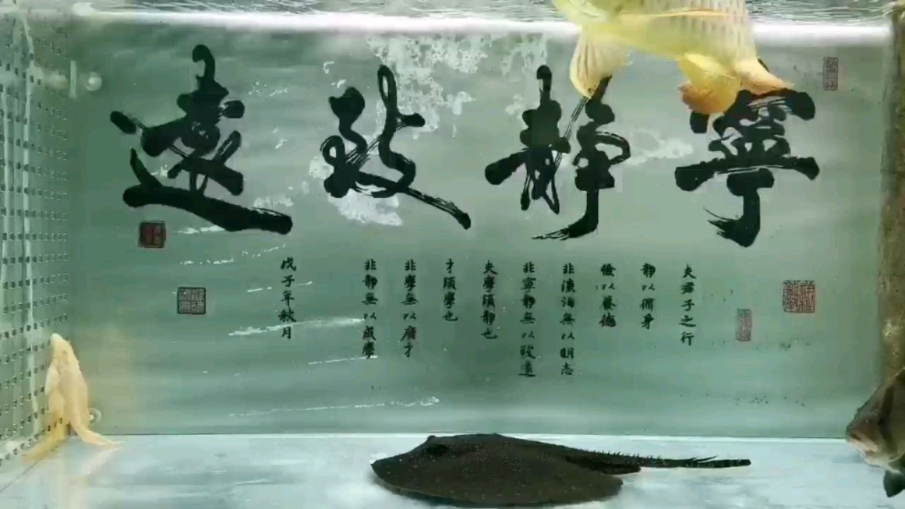 焦作水族館農(nóng)歷七月廿十