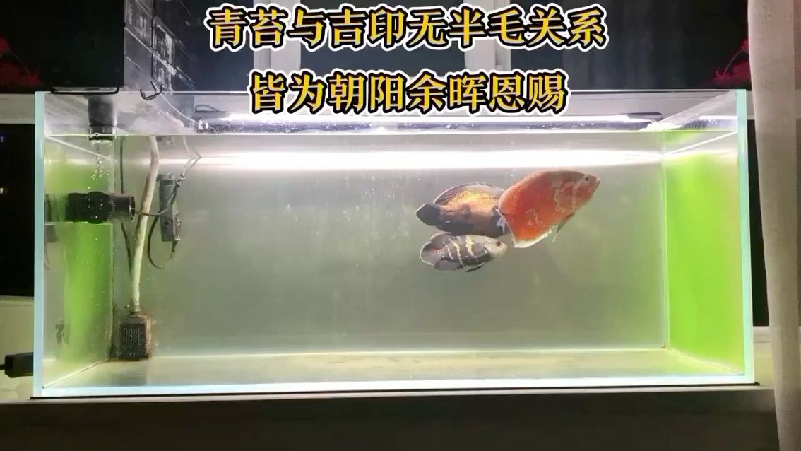 長(zhǎng)沙水族館感謝丈母娘