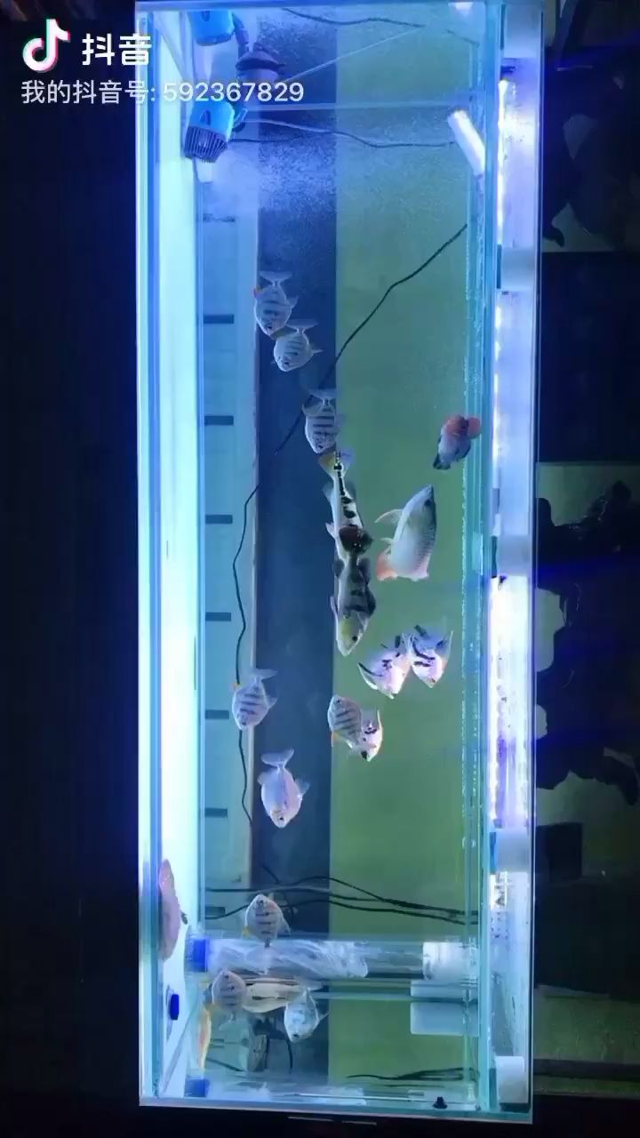 青島水族館簽到簽到