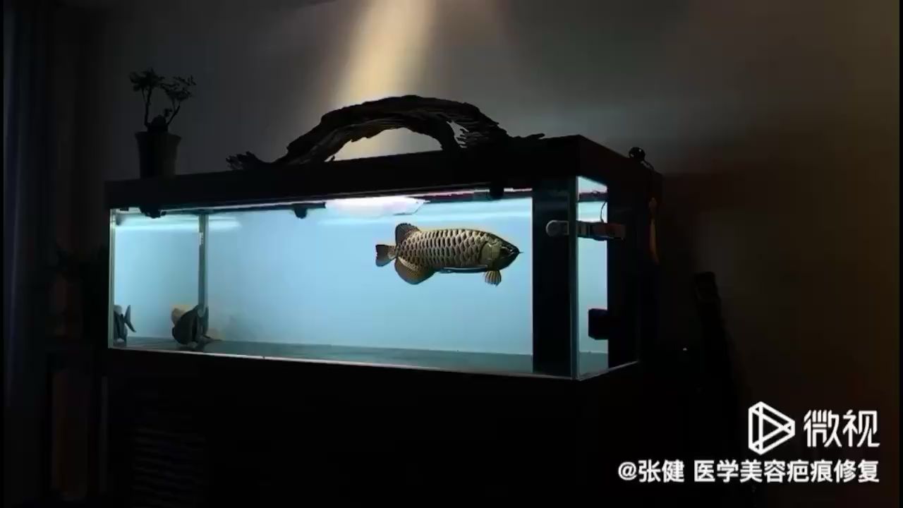 襄樊水族館深夜篇