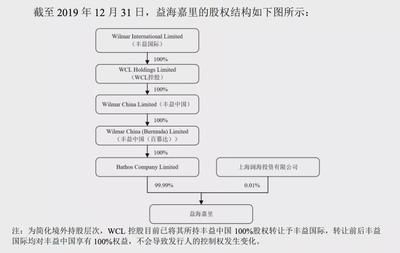 金龍魚為什么不在主板上市（金龍魚上市選擇標準） 龍魚百科 第5張