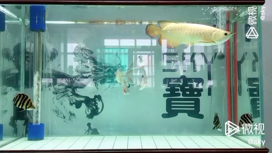 寧波水族館每日一曬