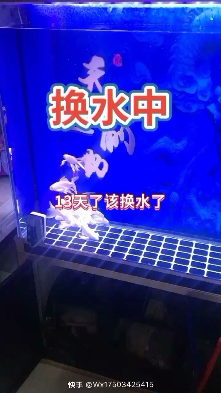 13天換水了