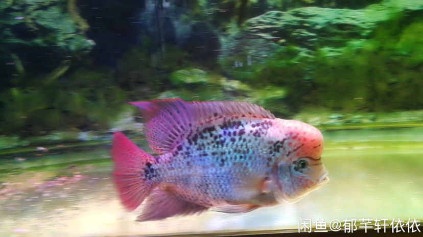 湘潭水族館有大神知道是為什么嗎？