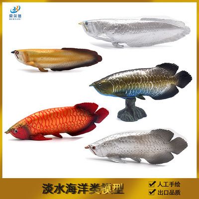 金龍魚的魚膠價格表大全（金龍魚膠價格） 龍魚百科 第2張