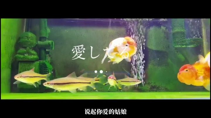 綠苔清水不香嗎@_