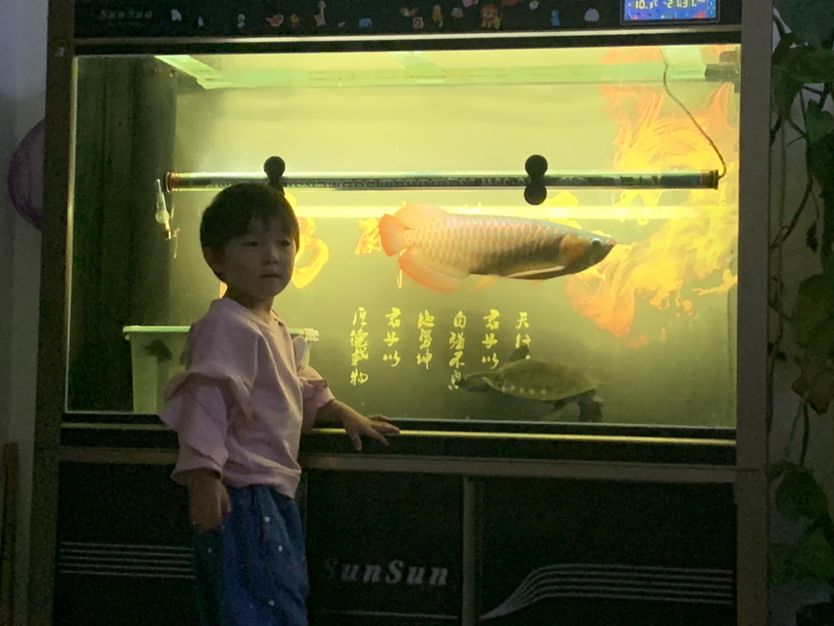 銅川水族館養(yǎng)魚從小培養(yǎng)