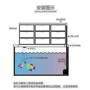 高背金龍魚繁殖技巧（高背金龍魚的繁殖周期） 水族問答