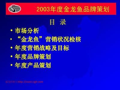 金龍魚營銷策略分析報告總結（金龍魚國際市場的競爭策略） 龍魚百科 第2張