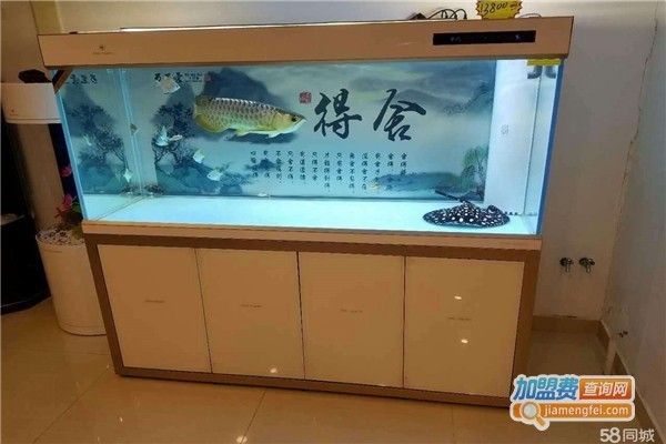 東營魚缸定做:山東東營哪里有賣魚缸的