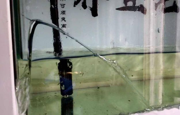 臨潼水族館如何開缸請老手指教