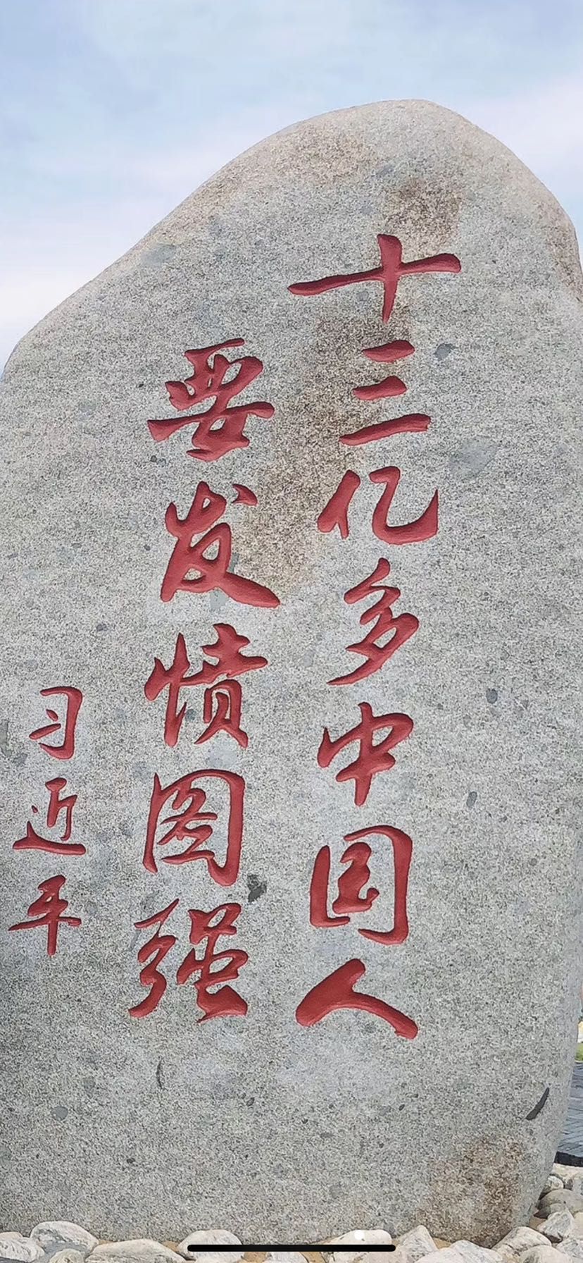 亮點(diǎn) 金老虎魚(yú) 第5張