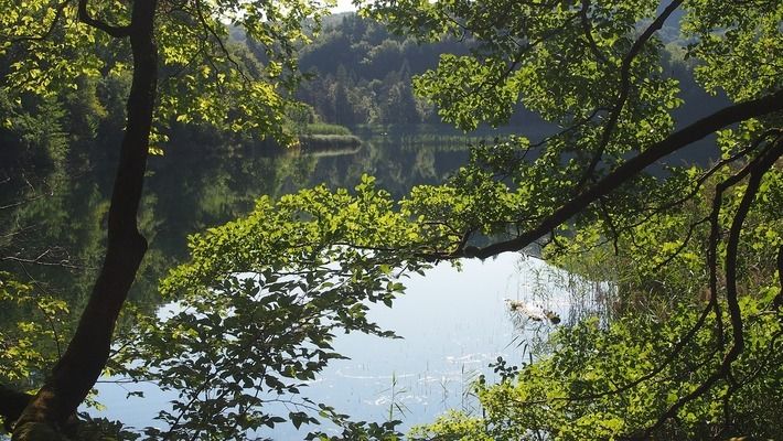 畢節(jié)哪里有水族館（店）:不要人山人海那種旅游景點(diǎn)