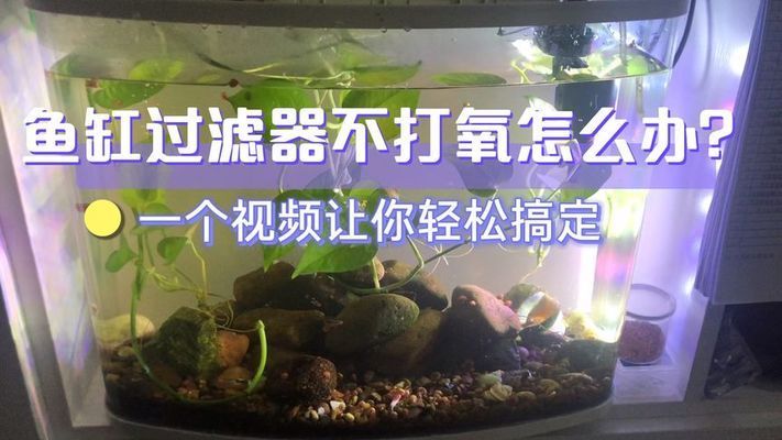 雞西魚池過濾濾材:雞西駿爾經(jīng)貿(mào)有限公司介紹 廣州水族器材濾材批發(fā)市場