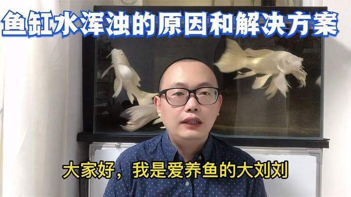 吉安魚池過濾濾材:沉淀倉里放什么好