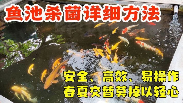 焦作魚池過濾濾材:焦作市東鼎商貿(mào)有限公司介紹